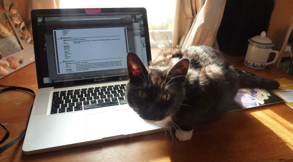 Wilma the cat distracts writing by Anna Chen