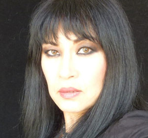 Anna Chen author