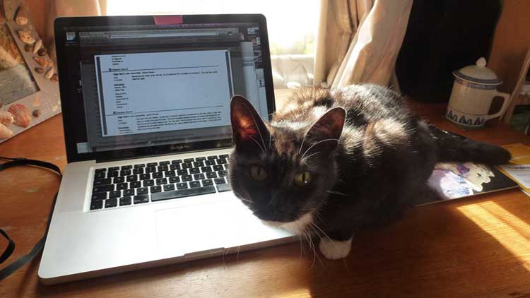 Anna Chen writing with Wilma the cat